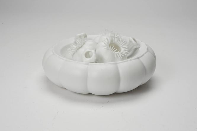 Garlic bulb plate